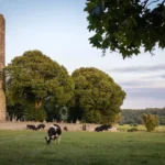 Monasterboice Round Tower beside Tower Lodge