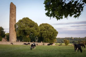 Monasterboice Round Tower beside Tower Lodge