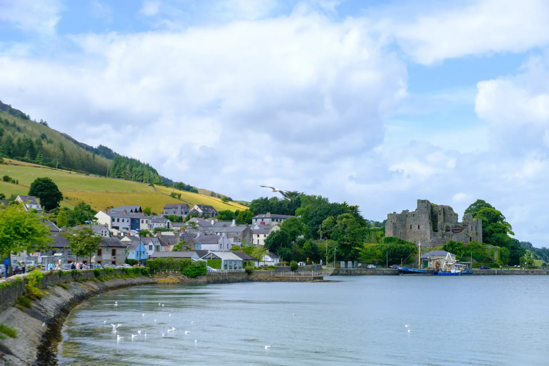 Carlingford village on Carlingford Lough, County Louth