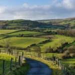 Quiet country road through green fields in County Louth