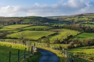 Quiet country road through green fields in County Louth
