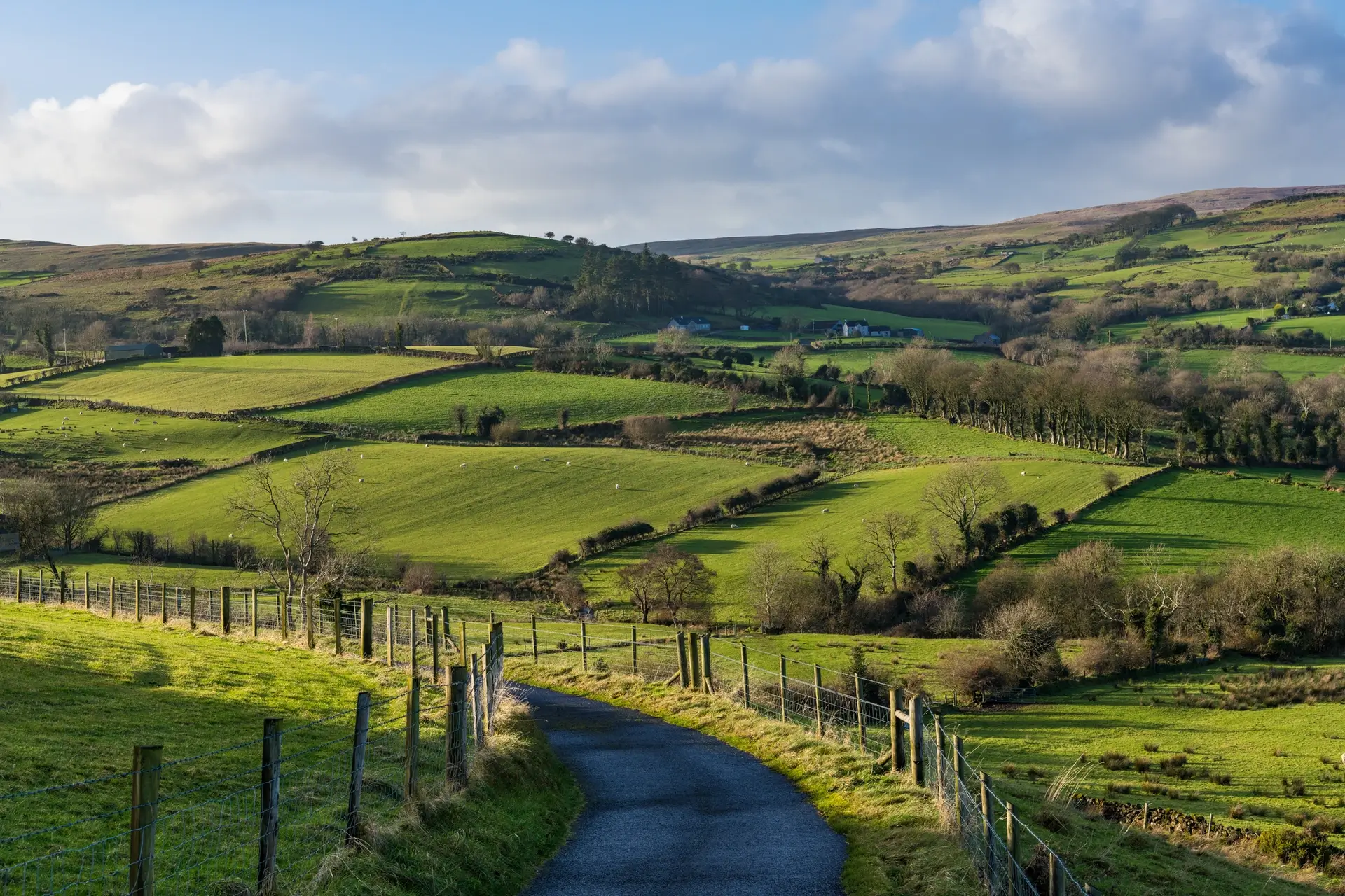 Quiet country road through green fields in County Louth